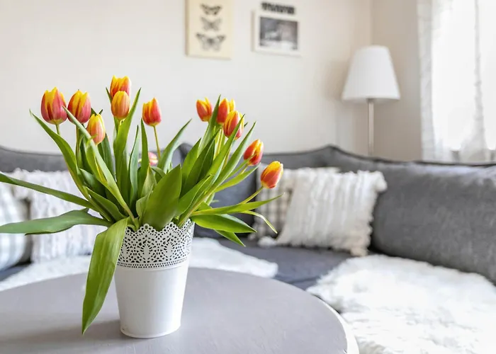 Сasa de vacaciones Nilsson *